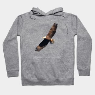 Flying Eagle Hoodie